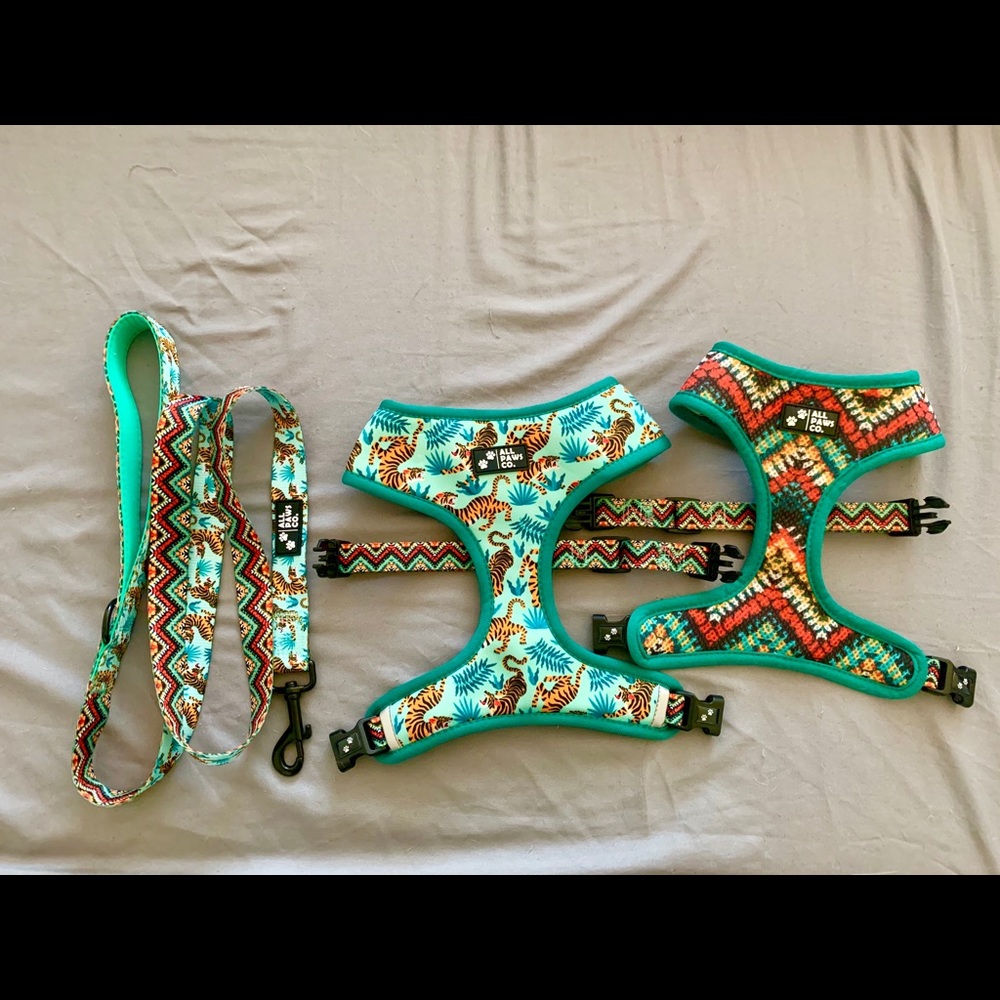 Reversible Dog Harness and Leashes Bundle